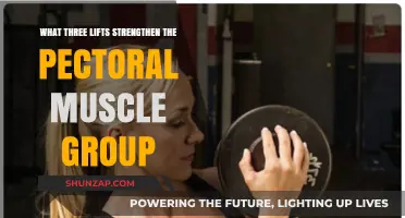 Effective Lifts to Build and Strengthen Your Pectoral Muscles