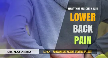Tight Muscles and Lower Back Pain: Unraveling the Connection