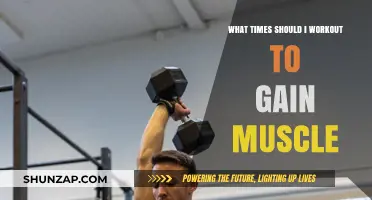 Optimal Workout Times for Muscle Gain: Maximize Your Fitness Results