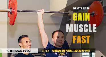 Top Muscle-Building Essentials for Rapid Strength and Size Gains