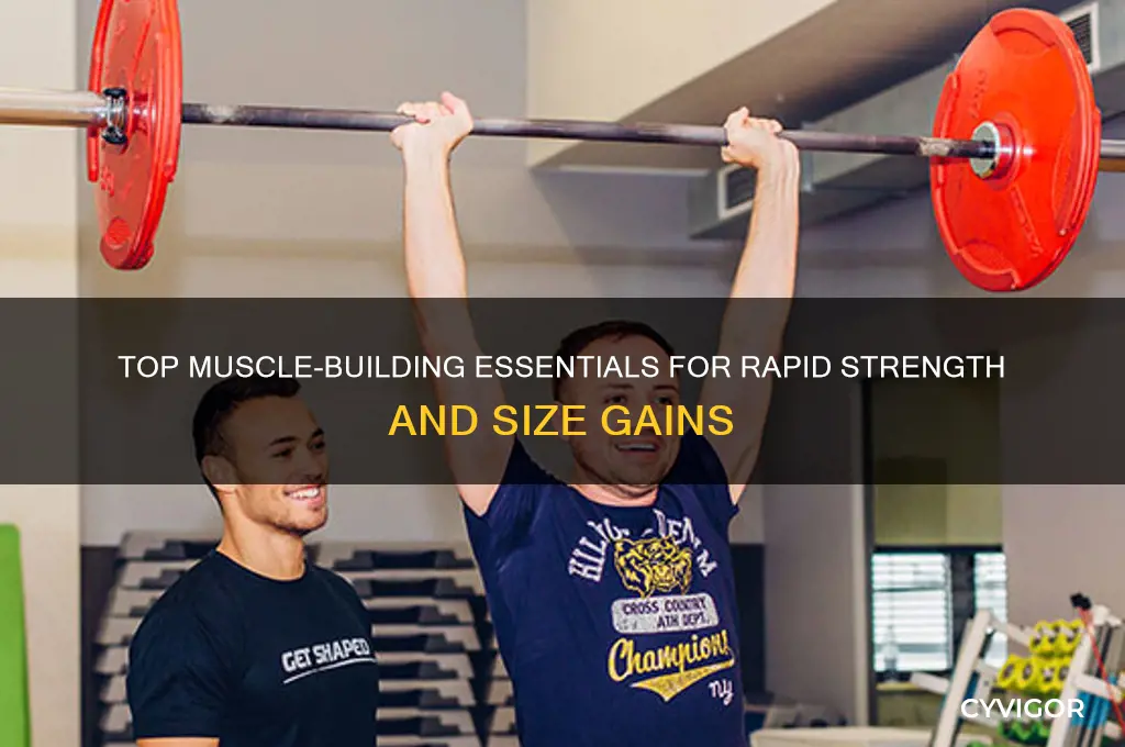 what to buy to gain muscle fast