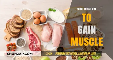 Cut These Out: Essential Tips for Effective Muscle Gain Strategies