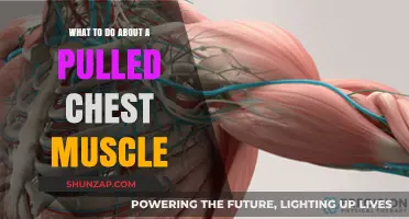 Pulled Chest Muscle: Effective Remedies and Recovery Tips for Relief