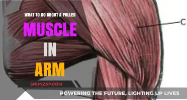Pulled Arm Muscle: Effective Remedies and Recovery Tips for Relief
