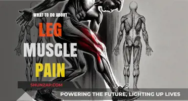 Effective Remedies for Relieving Leg Muscle Pain and Discomfort