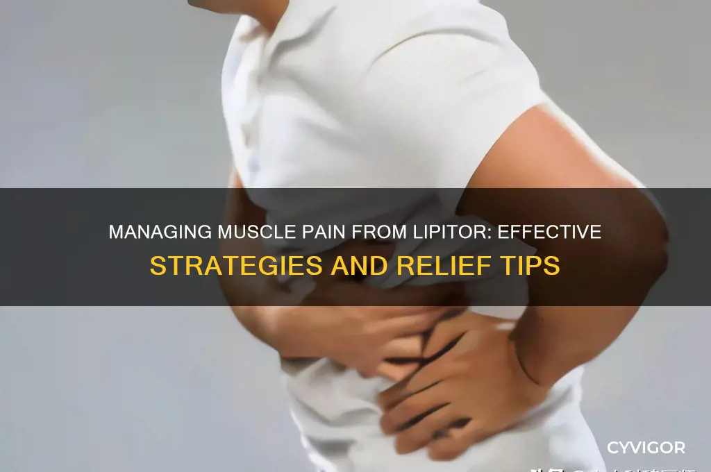 what to do about muscle pain lipitor