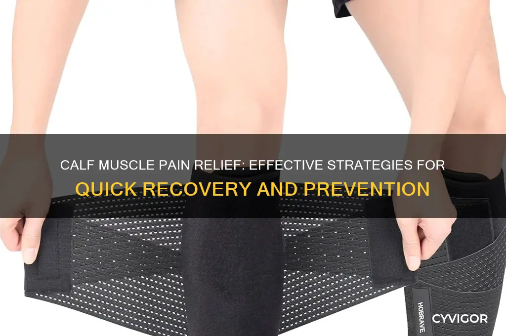 what to do about pain in calf muscles