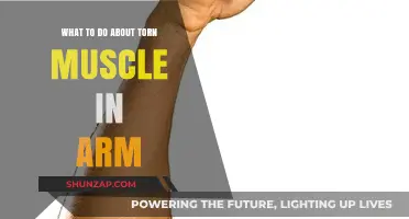 Effective Remedies for Healing a Torn Muscle in Your Arm