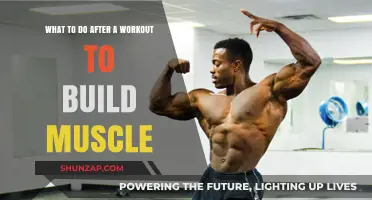 Maximize Muscle Growth: Essential Post-Workout Strategies