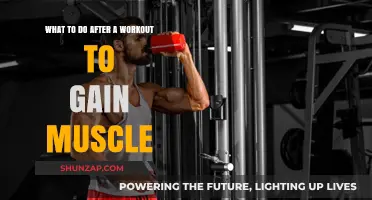 Post-Workout Muscle Growth: Essential Steps for Optimal Recovery and Gains