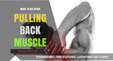 Pulled Back Muscle? Effective Recovery Tips for Quick Healing