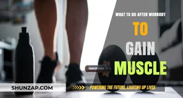 Post-Workout Muscle Growth: Essential Steps for Optimal Results