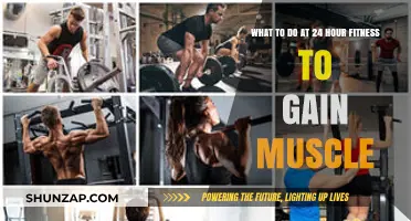 Effective Muscle-Building Strategies for 24-Hour Gym Workouts