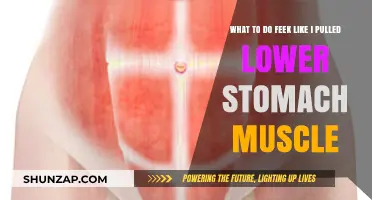 Pulled Lower Stomach Muscle: Effective Relief and Recovery Tips