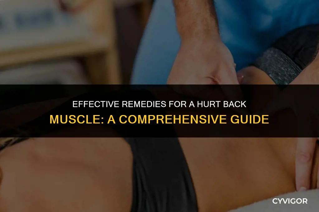 what to do for a hurt back muscle