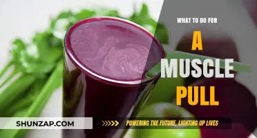 Effective Remedies and Recovery Tips for Treating a Muscle Pull