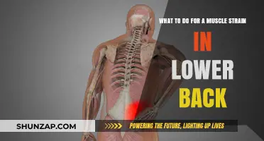 Relieving Lower Back Muscle Strains: A Comprehensive Guide