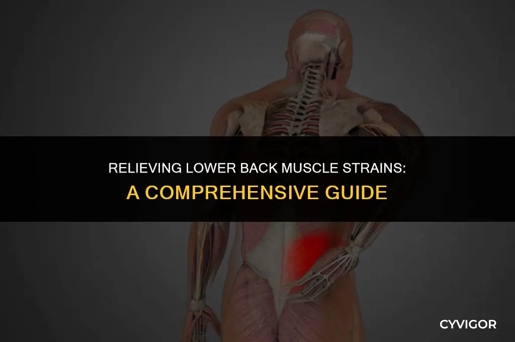 what to do for a muscle strain in lower back