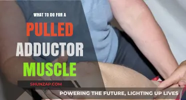 Pulled Adductor Muscle: Effective Recovery Tips and Treatment Strategies