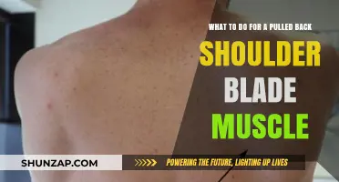 Pulled Back Shoulder Blade Muscle: Effective Relief and Recovery Tips