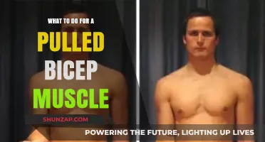 Pulled Bicep Muscle: Effective Recovery Tips and Remedies