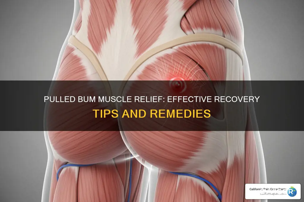 what to do for a pulled bum muscle