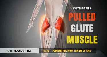 Pulled Glute Muscle: Effective Recovery Tips and Remedies