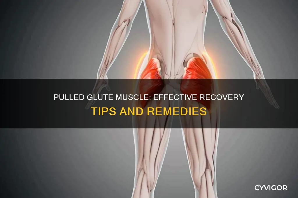 what to do for a pulled glute muscle