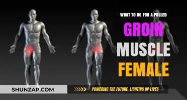 Effective Pulled Groin Muscle Recovery Tips for Women: Heal and Prevent