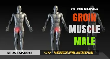 Effective Recovery Tips for Pulled Groin Muscle in Men