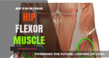 Effective Recovery Tips for Healing a Pulled Hip Flexor Muscle