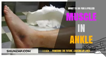 Effective Remedies for Pulled Ankle Muscle: Recovery Tips and Care