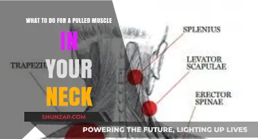 Effective Remedies for Relieving a Pulled Neck Muscle Quickly and Safely