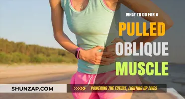 Pulled Oblique Muscle: Effective Recovery Tips and Remedies