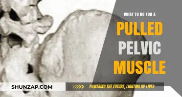 Pulled Pelvic Muscle Relief: Effective Recovery Tips and Remedies