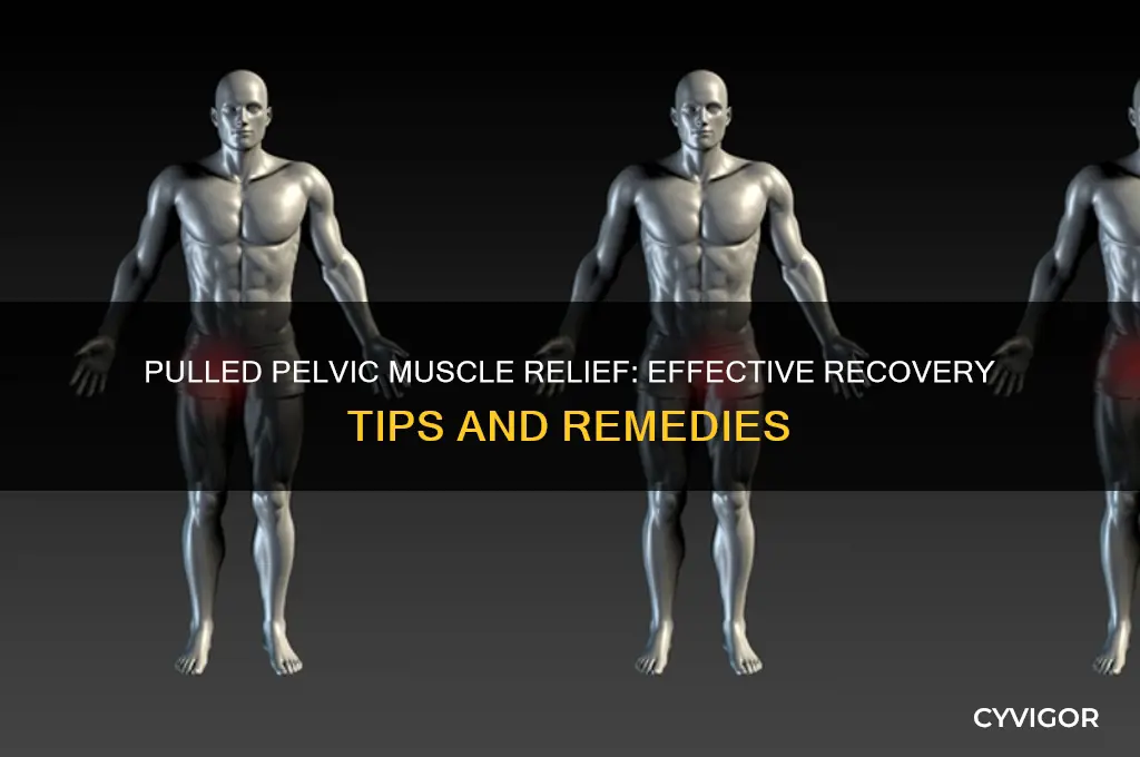 what to do for a pulled pelvic muscle