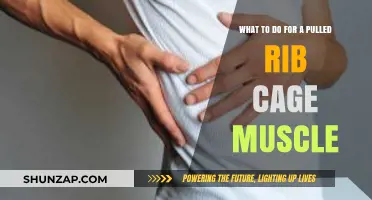 Pulled Rib Cage Muscle: Effective Remedies and Recovery Tips for Relief