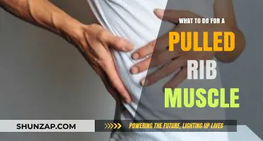Effective Remedies and Recovery Tips for a Pulled Rib Muscle