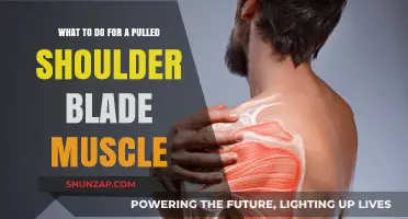 Effective Remedies for Pulled Shoulder Blade Muscle Relief and Recovery