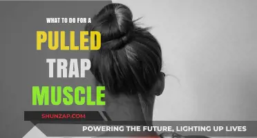 Effective Remedies and Recovery Tips for a Pulled Trap Muscle