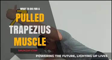Effective Remedies for Healing a Pulled Trapezius Muscle Quickly