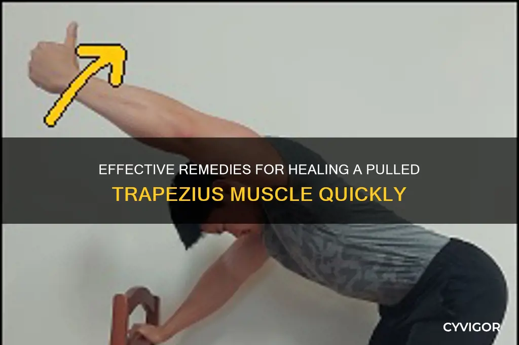 what to do for a pulled trapezius muscle