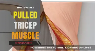 Pulled Tricep Muscle: Effective Recovery Tips and Remedies
