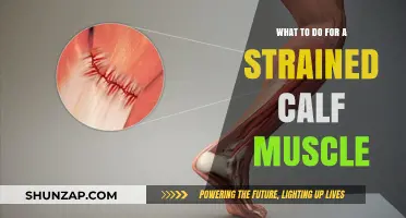 Effective Ways to Treat and Prevent Strained Calf Muscles
