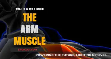 Effective Recovery Tips for a Torn Arm Muscle: Healing and Strengthening