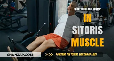 Relieving Cramps in the Sitoris Muscle: Effective Remedies and Prevention Tips
