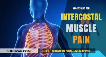 Effective Remedies for Relieving Intercostal Muscle Pain and Discomfort