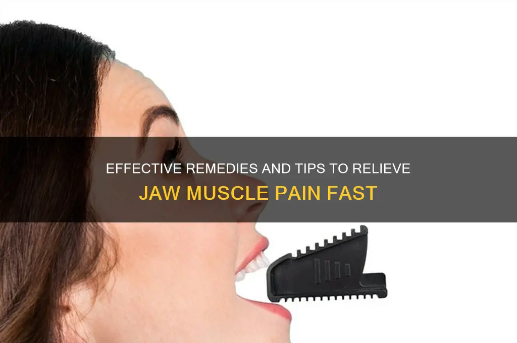what to do for jaw muscle pain