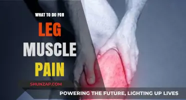Effective Remedies for Leg Muscle Pain: Relief and Recovery Tips