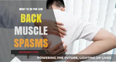 Effective Remedies for Low Back Muscle Spasms: A Comprehensive Guide